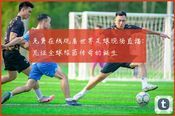 免费在线观看世界足球现场直播：见证全球绿茵传奇的诞生
