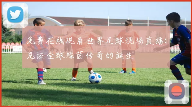 免费在线观看世界足球现场直播:见证全球绿茵传奇的诞生
