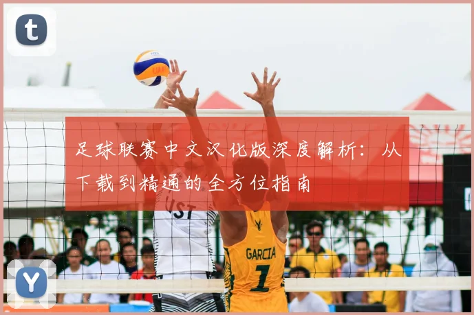 足球联赛中文汉化版深度解析：从下载到精通的全方位指南