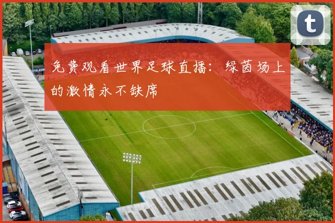 免费观看世界足球直播：绿茵场上的激情永不缺席