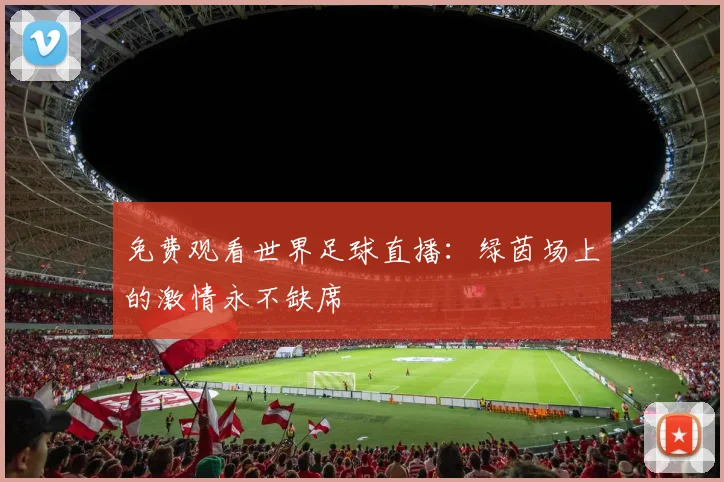 免费观看世界足球直播:绿茵场上的激情永不缺席